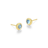 REIGN Sterling Silver 18K Gold Plated Genuine White Crystal & Blue Shell Doublet Celebration Gems North Star Studs