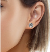 Sterling Silver Rhodium Plated Claw Stud Earrings Cubic Zirconia - 5mm