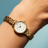 BERING Classic Watch - 22mm