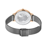 BERING Classic Watch