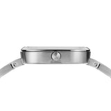 BERING Classic Watch