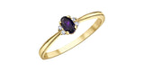 10K Yellow Gold Amethyst & Diamond February Birthstone Ring