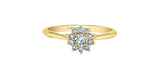 MAPLE LEAF DIAMONDS Tides of Love 14K Yellow & White Gold Canadian & Natural Diamond Halo Ring